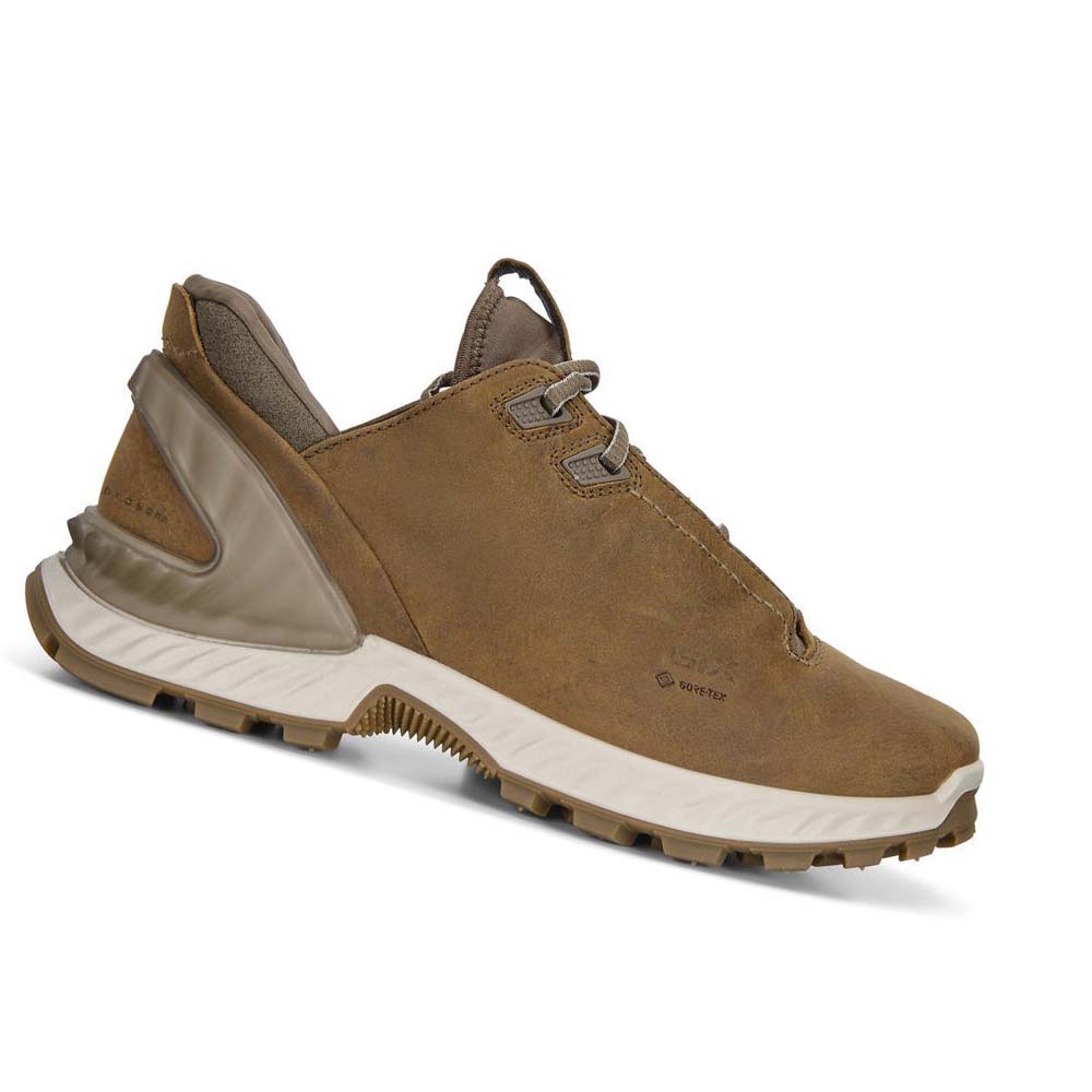 Ecco Exohike Low Gtx Hiking & Trail Herre Brune | NO 562VRW